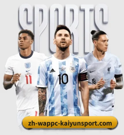 五大服务分区,信息按项目分类